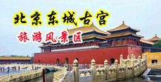 欧美乱伦性爱视频中国北京-东城古宫旅游风景区